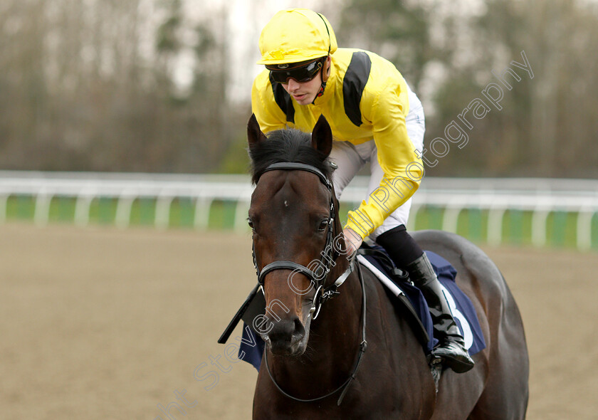 Moftris-0001 
 MOFTRIS (James Doyle)
Lingfield 23 Mar 2019 - Pic Steven Cargill / Racingfotos.com