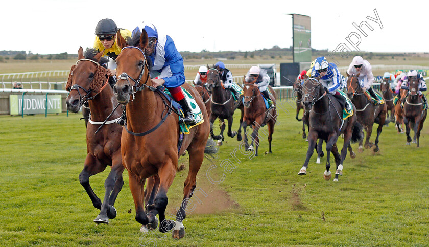 Lord-North-0002 
 LORD NORTH (Frankie Dettori) beats BERINGER (left) in The bet365 Cambridgeshire Handicap
Newmarket 28 Sep 2019 - Pic Steven Cargill / Racingfotos.com