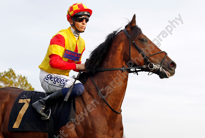 Savvy-Victory-0001 
 SAVVY VICTORY (David Probert)
Newmarket 29 Oct 2022 - Pic Steven Cargill / Racingfotos.com