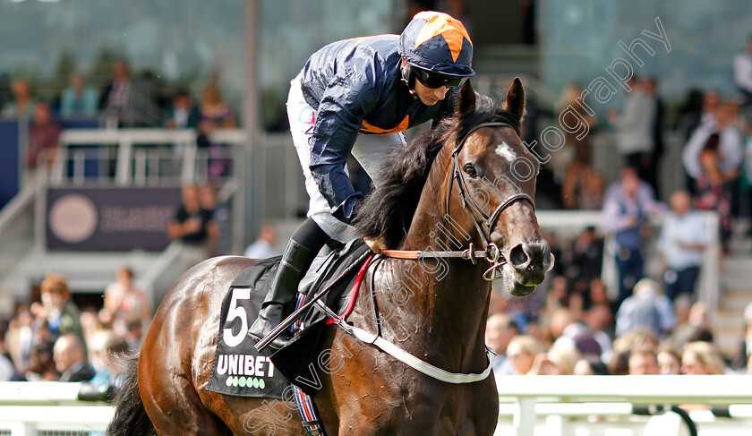 Hey-Gaman-0003 
 HEY GAMAN (P J McDonald)
Newbury 17 Aug 2019 - Pic Steven Cargill / Racingfotos.com