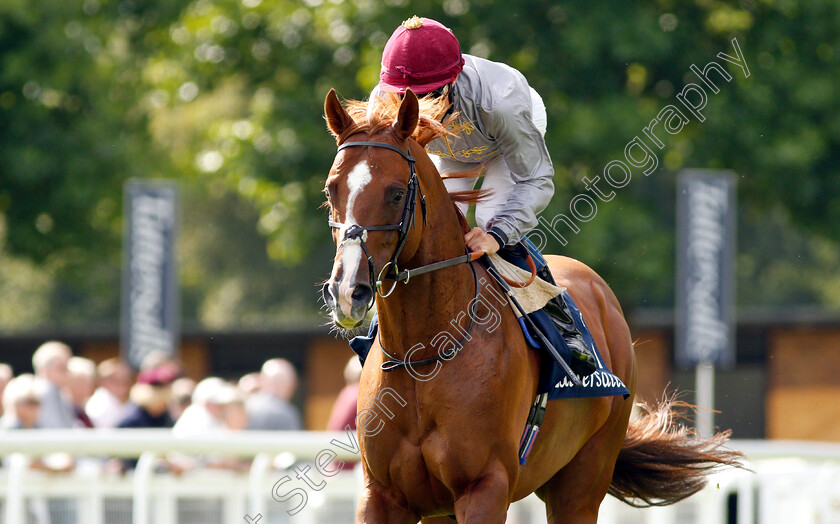 Hathal-0002 
 HATHAL (William Buick)
Salisbury 16 Aug 2018 - Pic Steven Cargill / Racingfotos.com