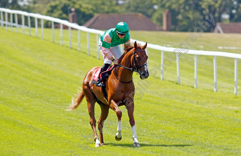 Nazalan-0002 
 NAZALAN (Tom Marquand)
Sandown 7 Jul 2023 - Pic Steven Cargill / Racingfotos.com