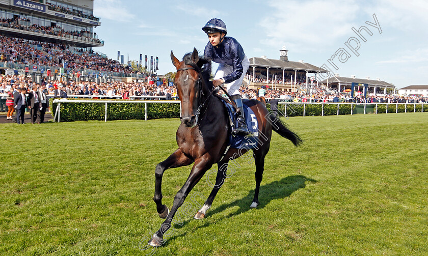 Sir-Dragonet-0002 
 SIR DRAGONET (Donnacha O'Brien)
Doncaster 14 Sep 2019 - Pic Steven Cargill / Racingfotos.com