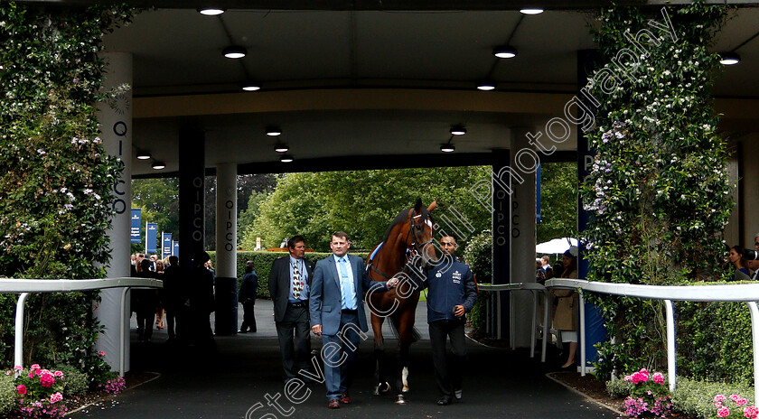 Enable-0001 
 ENABLE waits to enter the parade ring before The King George VI & Queen Elizabeth Stakes
Ascot 27 Jul 2019 - Pic Steven Cargill / Racingfotos.com