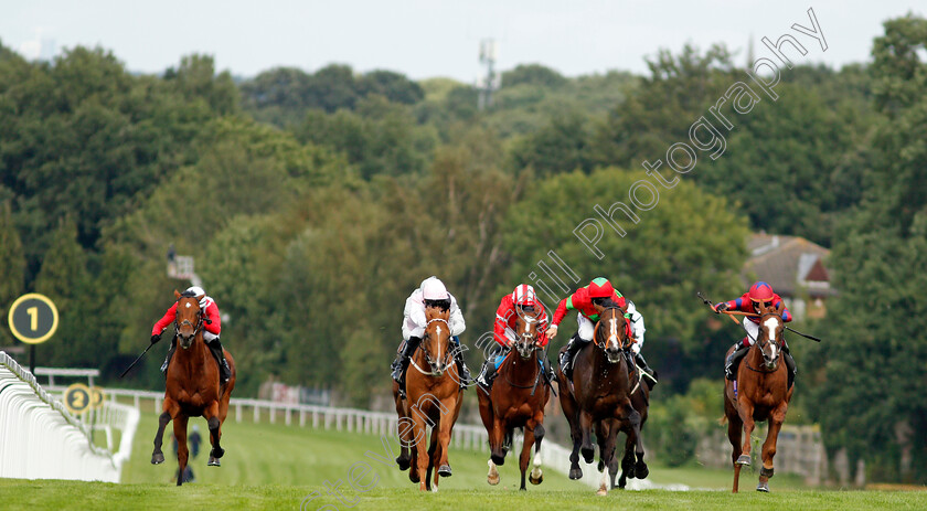 Etonian-0003 
 ETONIAN (2nd right, Pat Dobbs) beats APOLLO ONE (2nd left) KING VEGA (right) and DINOO (left) in The Betway Solario Stakes
Sandown 23 Aug 2020 - Pic Steven Cargill / Racingfotos.com