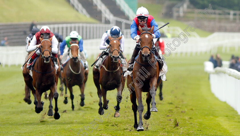 Mehdaayih-0002 
 MEHDAAYIH (Robert Havlin) wins The Arkle Finance Cheshire Oaks
Chester 8 May 2019 - Pic Steven Cargill / Racingfotos.com