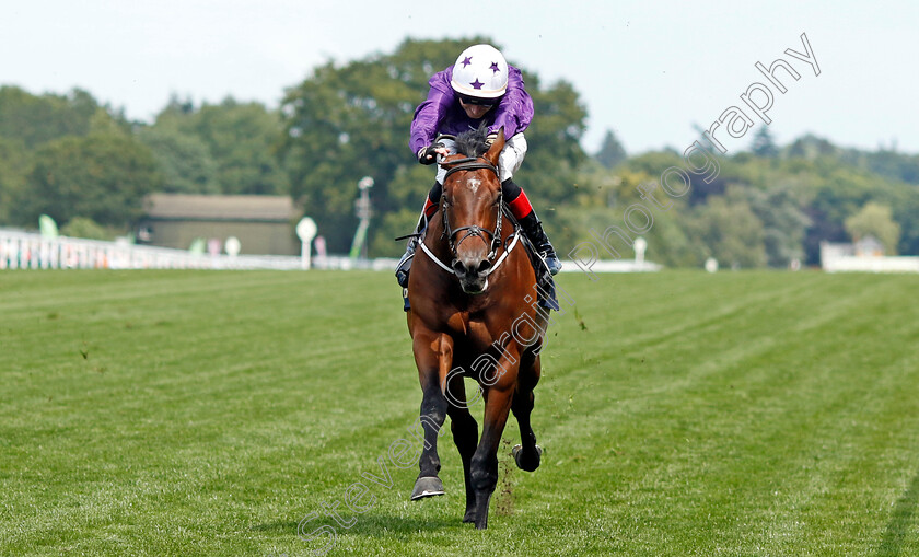 Arizona-Blaze-0002 
 ARIZONA BLAZE (David Egan)
Royal Ascot 20 Jun 2024 - Pic Steven Cargill / Racingfotos.com