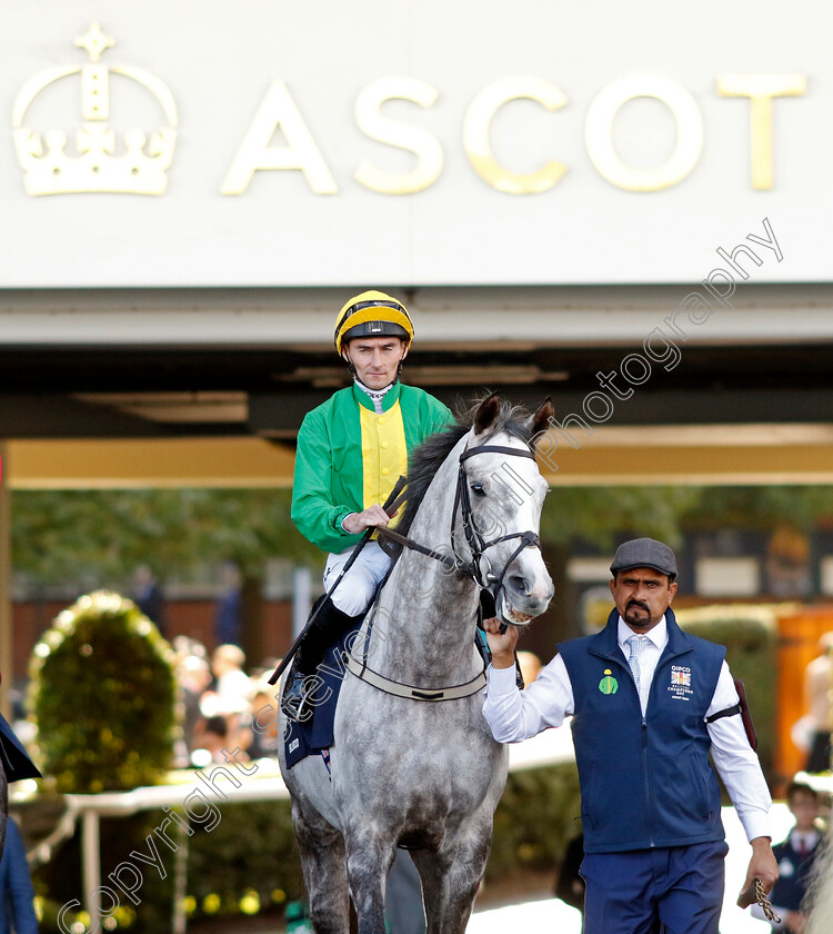 Belloccio-0001 
 BELLOCCIO (Daniel Tudhope)
Ascot 19 Oct 2024 - Pic Steven Cargill / Racingfotos.com