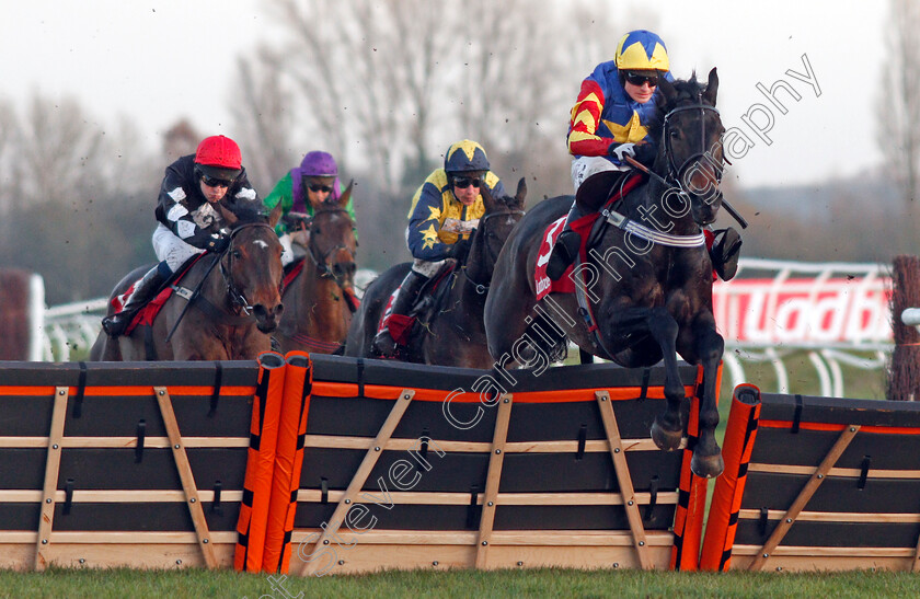 Vive-Le-Roi-0001 
 VIVE LE ROI (Harry Bannister)
Newbury 29 Nov 2019 - Pic Steven Cargill / Racingfotos.com