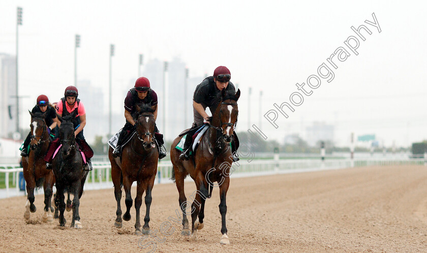 Hunting-Horn-0003 
 HUNTING HORN leading the Aidan O'Brien string
Meydan 28 Mar 2019 - Pic Steven Cargill / Racingfotos.com