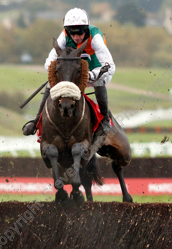 Doing-Fine-0002 
 DOING FINE (Leighton Aspell)
Cheltenham 27 Oct 2018 - Pic Steven Cargill / Racingfotos.com