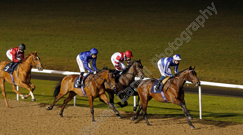 Bangkok-0004 
 BANGKOK (David Probert) leads SINJAARI (red cap) FOREST OF DEAN (blue) and FELIX (left) 
Wolverhampton 11 Jan 2021 - Pic Steven Cargill / Racingfotos.com