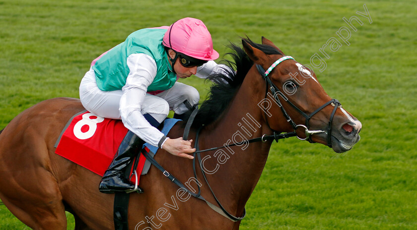 Siyola-0001 
 SIYOLA (William Buick) wins The bet365 Wild Card Fillies Novice Stakes
Sandown 26 Apr 2024 - Pic Steven Cargill / Racingfotos.com