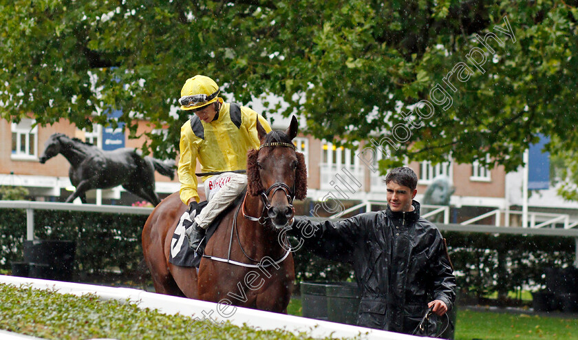 Ilaraab 
 ILARAAB (Tom Marquand)
Ascot 2 Oct 2021 - Pic Steven Cargill / Racingfotos.com