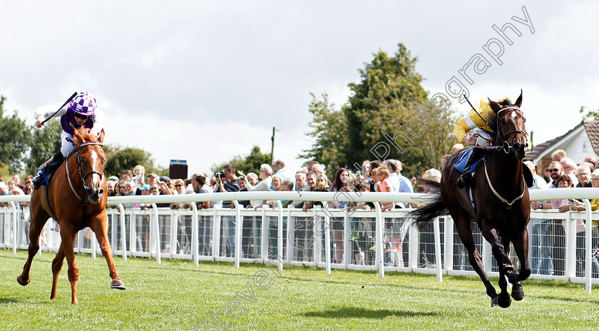 Concello-0003 
 CONCELLO (Oisin Murphy) beats CANAVESE (left) in The Sorvio Insurance Brokers Maiden Auction Fillies Stakes
Salisbury 16 Aug 2018 - Pic Steven Cargill / Racingfotos.com