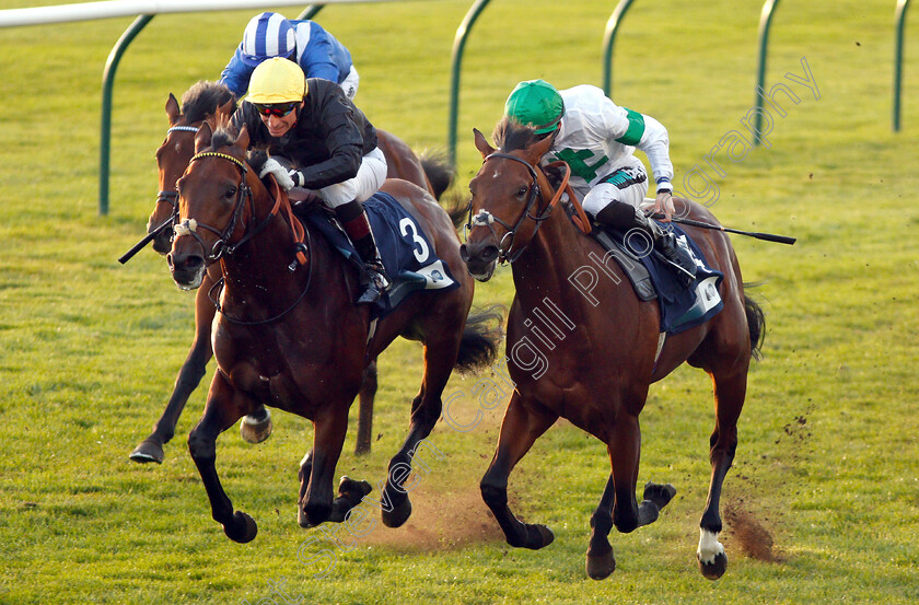 Ginistrelli-0006 
 GINISTRELLI (left, Gerald Mosse) beats JAMES PARK WOODS (right) in The British EBF Novice Stakes
Newmarket 24 Oct 2018 - Pic Steven Cargill / Racingfotos.com