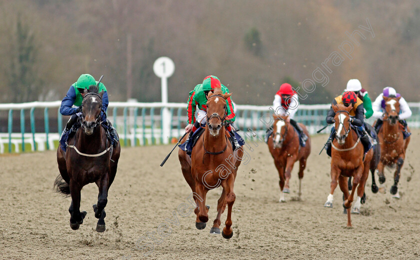 Ford-Madox-Brown-0004 
 FORD MADOX BROWN (left, Daniel Tudhope) beats BASCULE (centre) in The Ladbrokes Novice Auction Stakes
Lingfield 19 Dec 2020 - Pic Steven Cargill / Racingfotos.com