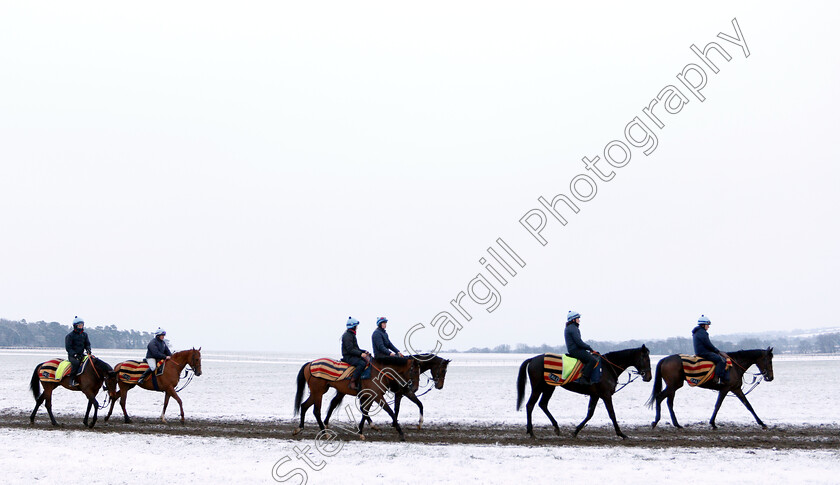 Newmarket-Snow-0006 
 Racehorses training in the snow at Newmarket
1 Feb 2019 - Pic Steven Cargill / Racingfotos.com