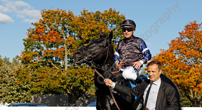 Topgear-0011 
 TOPGEAR (Stephane Pasquier) winner of The Thoroughbred Industry Employee Awards Challenge Stakes
Newmarket 11 Oct 2024 - pic Steven Cargill / Racingfotos.com