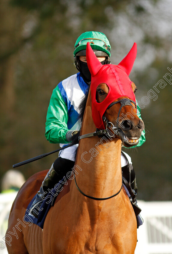 Craved-0001 
 CRAVED (Tom Marquand)
Lingfield 9 Jan 2021 - Pic Steven Cargill / Racingfotos.com