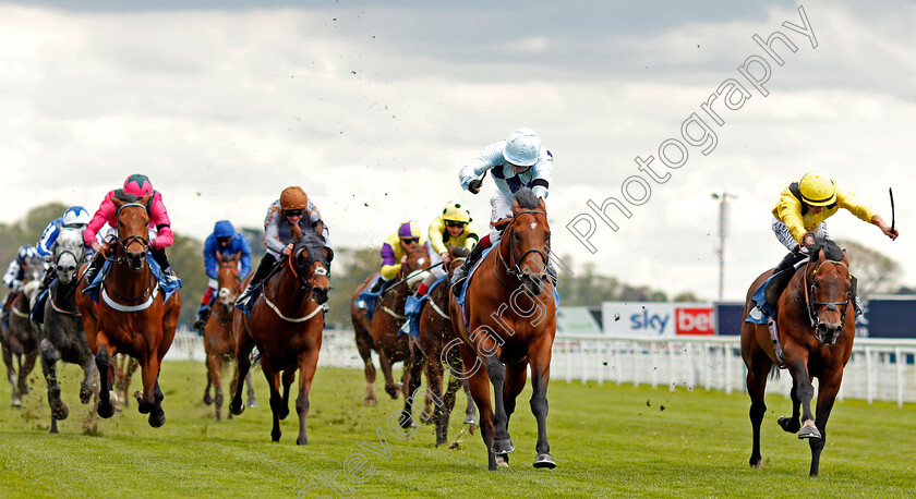 Starman-0004 
 STARMAN (centre, Oisin Murphy) beats NAHAARR (right) in The Duke Of York Clipper Logistics Stakes
York 12 May 2021 - Pic Steven Cargill / Racingfotos.com