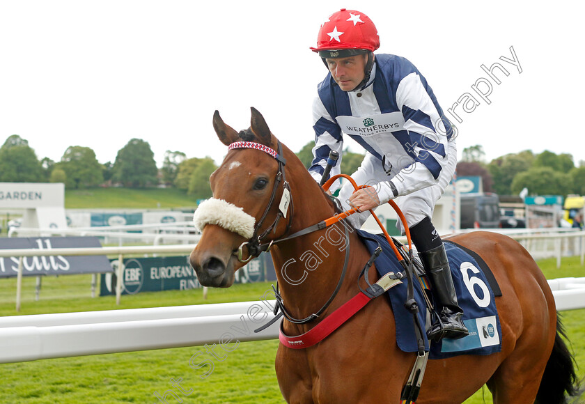 Harlingwold 
 HARLINGWOLD (Tony Hamilton)
York 11 May 2022 - Pic Steven Cargill / Racingfotos.com