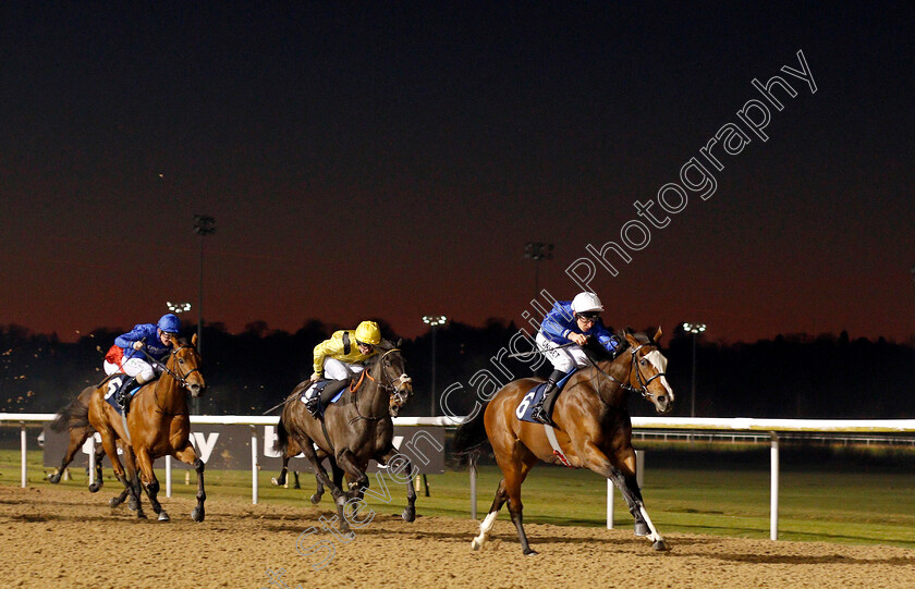 Endless-Echoes-0003 
 ENDLESS ECHOES (Luke Morris) beats RIDESON (yellow) in The Ladbrokes Home Of The Odds Boost Fillies Novice Stakes
Wolverhampton 20 Jan 2020 - Pic Steven Cargill / Racingfotos.com