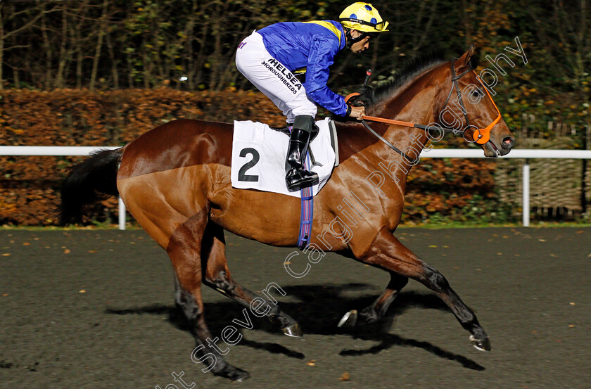 Khafoo-Shememi-0001 
 KHAFOO SHEMEMI (Sean Levey) Kempton 22 Nov 2017 - Pic Steven Cargill / Racingfotos.com