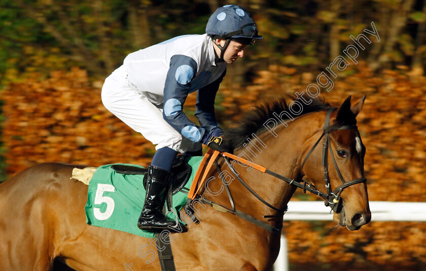 Miss-Sunset-Strip-0001 
 MISS SUNSET STRIP (Adam Farragher)
Kempton 6 Dec 2023 - Pic Steven Cargill / Racingfotos.com