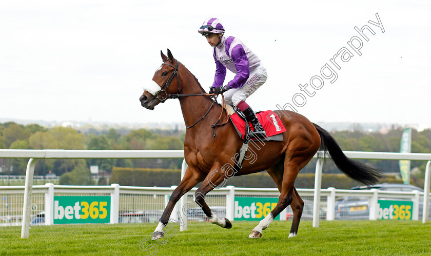 Secret-Satire-0001 
 SECRET SATIRE (Oisin Murphy)
Sandown 26 Apr 2024 - Pic Steven Cargill / Racingfotos.com