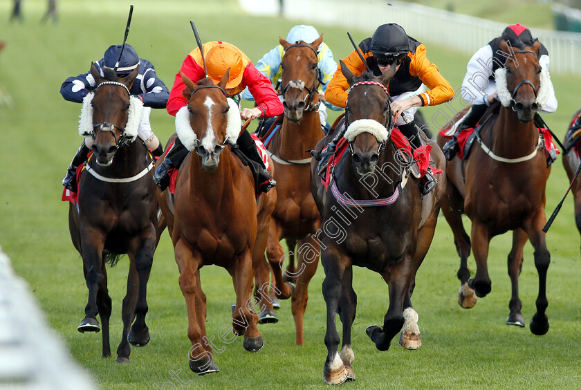 Saaheq-0003 
 SAAHEQ (Luke Morris) beats VIMY RIDGE (2nd left) and BELLEDESERT (left) in The Smarkets Handicap
Sandown 19 Sep 2018 - Pic Steven Cargill / Racingfotos.com