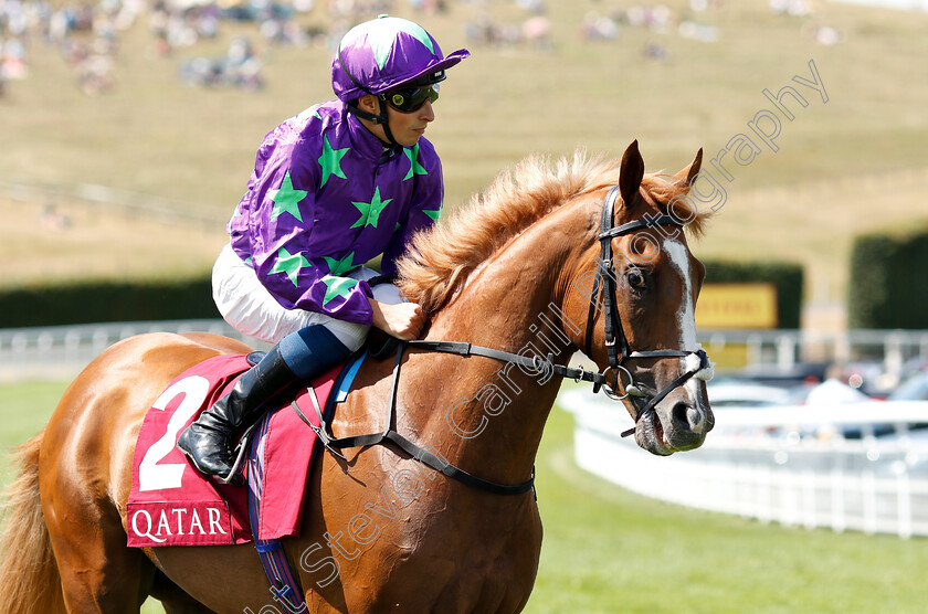 Blonde-Warrior-0001 
 BLONDE WARRIOR (William Buick)
Goodwood 31 Jul 2018 - Pic Steven Cargill / Racingfotos.com