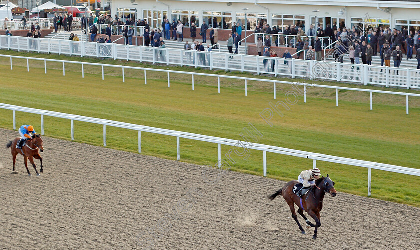 Jungle-Run-0004 
 JUNGLE RUN (Jack Mitchell) wins The Ministry Of Sound Disco Handicap
Chelmsford 31 mar 2022 - Pic Steven Cargill / Racingfotos.com