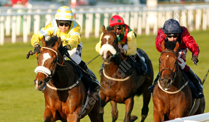 Sandret-0003 
 SANDRET (left, Graham Lee) beats STORTING (right) in The Coopers Marquees Classified Stakes
Doncaster 13 Sep 2019 - Pic Steven Cargill / Racingfotos.com