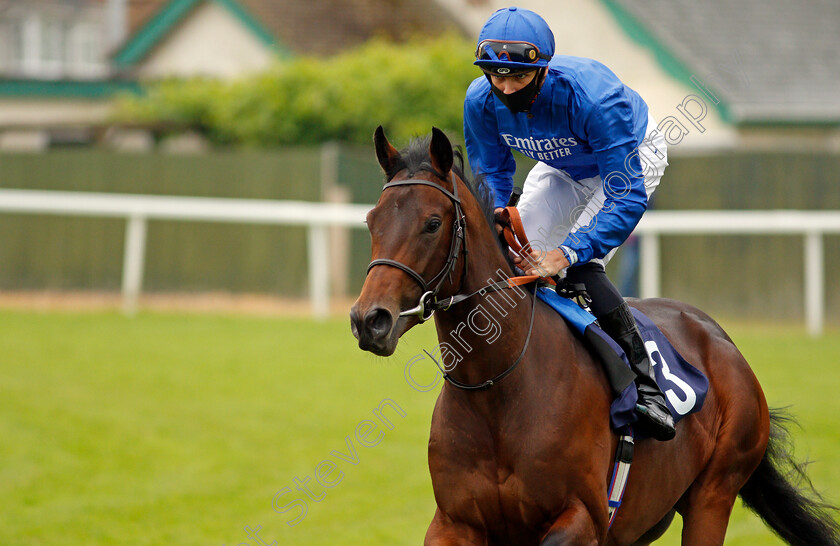 Home-City-0002 
 HOME CITY (Louis Steward)
Yarmouth 1 Jul 2021 - Pic Steven Cargill / Racingfotos.com