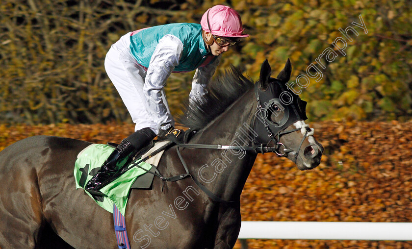 Set-Piece-0001 
 SET PIECE (James Doyle) winner of The British Stallion Studs EBF Hyde Stakes
Kempton 20 Nov 2019 - Pic Steven Cargill / Racingfotos.com