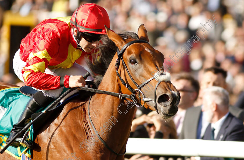 Iridessa-0010 
 IRIDESSA (Wayne Lordan) wins The bet365 Fillies Mile
Newmarket 12 Oct 2018 - Pic Steven Cargill / Racingfotos.com