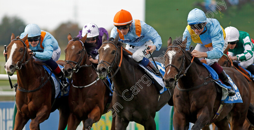 Rumstar-0003 
 RUMSTAR (right, Rob Hornby) beats MAYLANDSEA (2nd right) CRISPY CAT (2nd left) and PRINCE OF PILLO (left) in The Newmarket Academy Godolphin Beacon Project Cornwallis Stakes
Newmarket 7 Oct 2022 - Pic Steven Cargill / Racingfotos.com