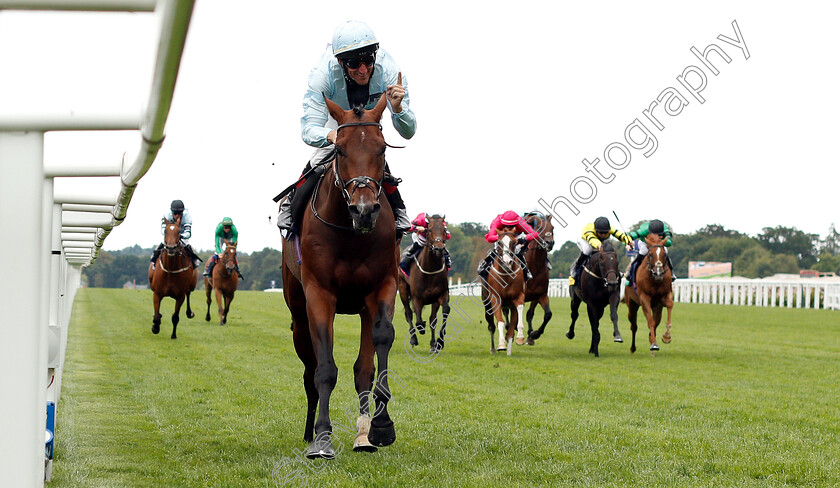 Genetics-0003 
 GENETICS (Andrasch Starke) wins The Dubai Duty Free Shergar Cup Challenge 
Ascot 11 Aug 2018 - Pic Steven Cargill / Racingfotos.com