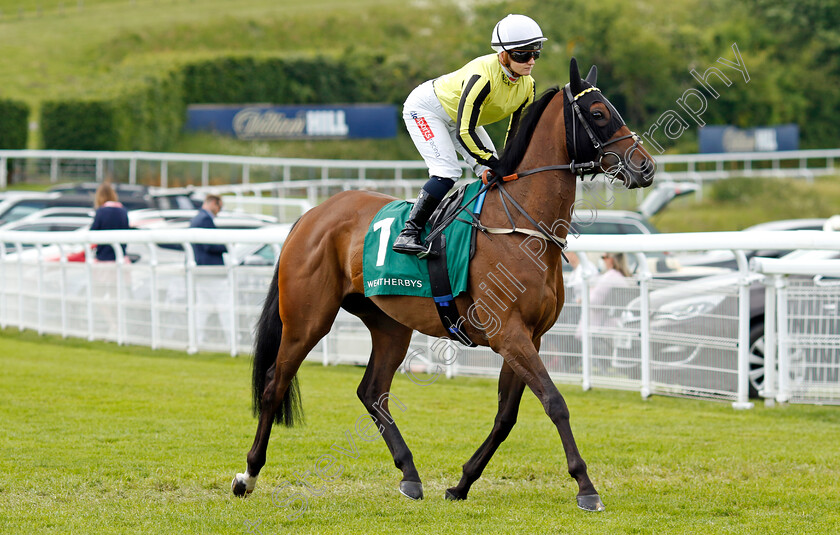 Ambiente-Amigo-0001 
 AMBIENTE AMIGO (Hollie Doyle)
Goodwood 9 Jun 2024 - Pic Steven Cargill / Racingfotos.com