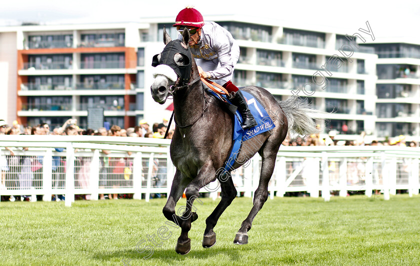 Kair-Al-Cham-0003 
 KAIR AL CHAM (Jean-Bernard Eyquem) wins The UAE Embassy In London International Stakes
Newbury 28 Jul 2019 - Pic Steven Cargill / Racingfotos.com