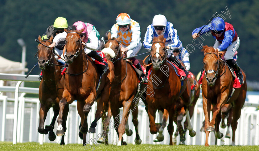 Starlore-0008 
 STARLORE (Ryan Moore) beats MAXIMUM DIVIDEND (right) in The Irish Stallion Farms EBF Novice Stakes
Sandown 7 Jul 2023 - Pic Steven Cargill / Racingfotos.com