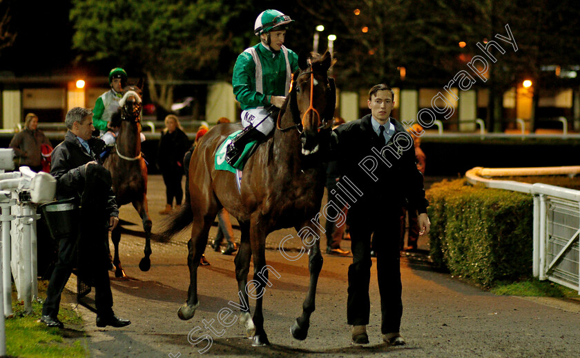 Spark-Plug-0001 
 SPARK PLUG (Tom Marquand) before The 32Red Wild Flower Stakes
Kempton 5 Dec 2018 - Pic Steven Cargill / Racingfotos.com