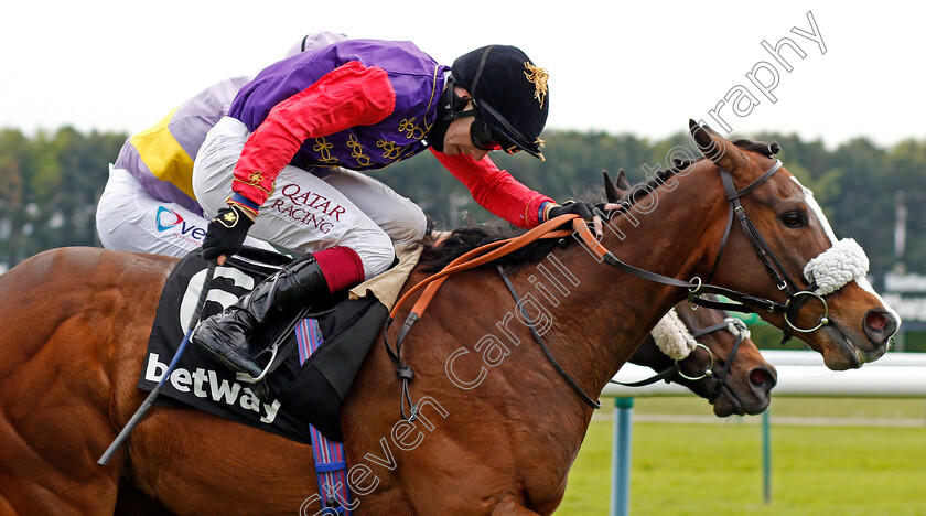 King s-Lynn-0008 
 KING'S LYNN (Oisin Murphy) wins The Betway Achilles Stakes
Haydock 29 May 2021 - Pic Steven Cargill / Racingfotos.com