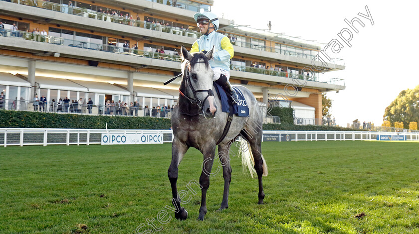 Charyn-0014 
 CHARYN (Silvestre de Sousa) winner of The Queen Elizabeth II Stakes
Ascot 19 Oct 2024 - Pic Steven Cargill / Racingfotos.com