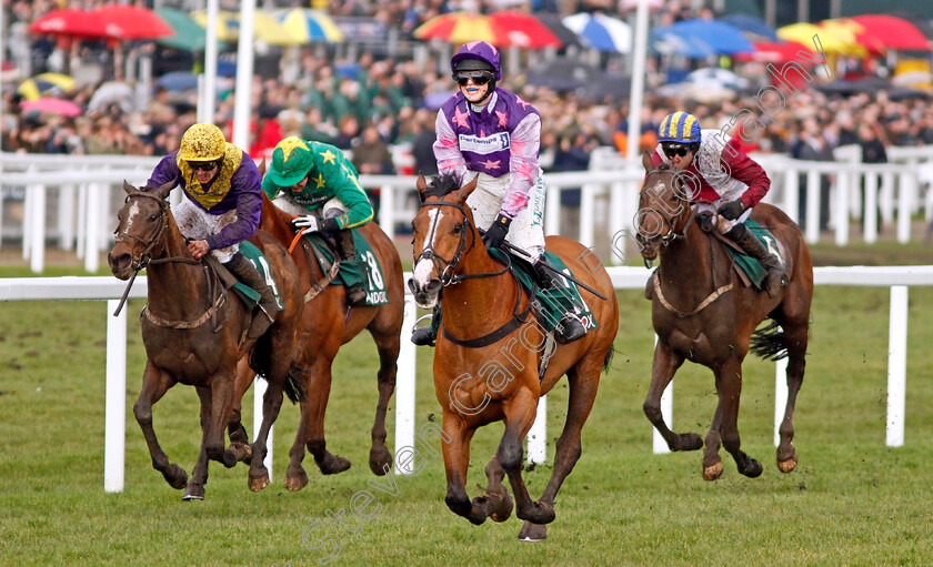 Mohaayed-0005 
 MOHAAYED (Bridget Andrews) wins The Randox Health County Handicap Hurdle Cheltenham 16 mar 2018 - Pic Steven Cargill / Racingfotos.com