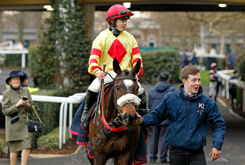 Sir-Will-0007 
 SIR WILL (Richard Patrick) after The Iron Stand Conditional Jockeys Handicap Hurdle Ascot 25 Mar 2018 - Pic Steven Cargill / Racingfotos.com