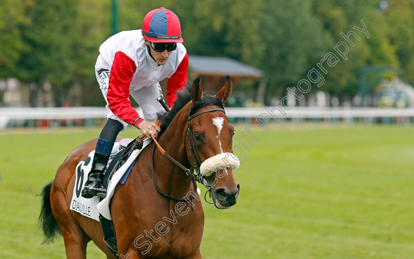 Engaliwe-0004 
 ENGALIWE (A Lemaitre) winner of The Prix Minerve
Deauville 13 Aug 2023 - Pic Steven Cargill / Racingfotos.com