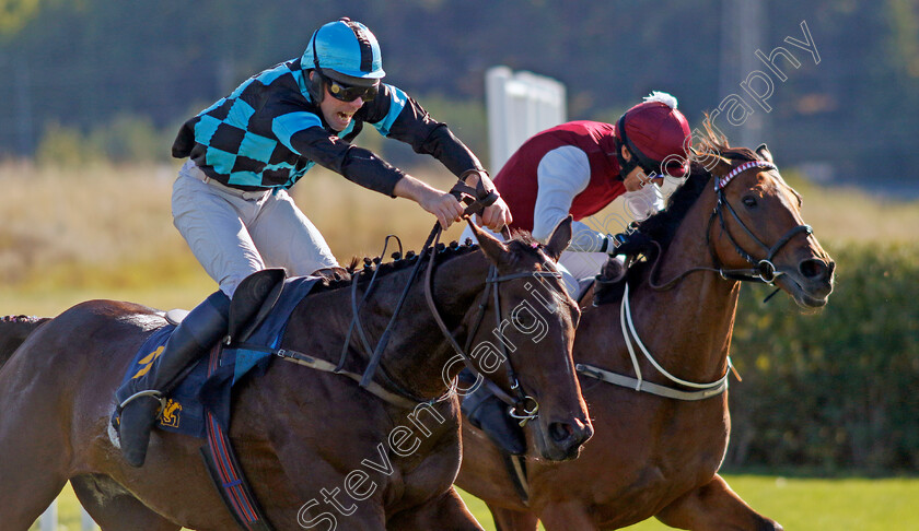 Mutadaffeq-0001 
 MUTADAFFEQ (farside, Niklas Loven) beats THREE IS COMPANY (nearside) in The H.M. Konungens Pris
Bro Park, Sweden , 15 Sep 2024 - Pic Steven Cargill / Racingfotos.com