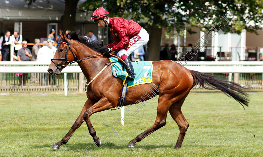 Lambeth-Walk-0001 
 LAMBETH WALK (Oisin Murphy)
Newmarket 12 Jul 2019 - Pic Steven Cargill / Racingfotos.com